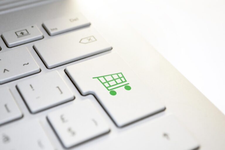 SEO para E-commerce em São Paulo: Como Lojas Virtuais Vendem Mais pelo Google